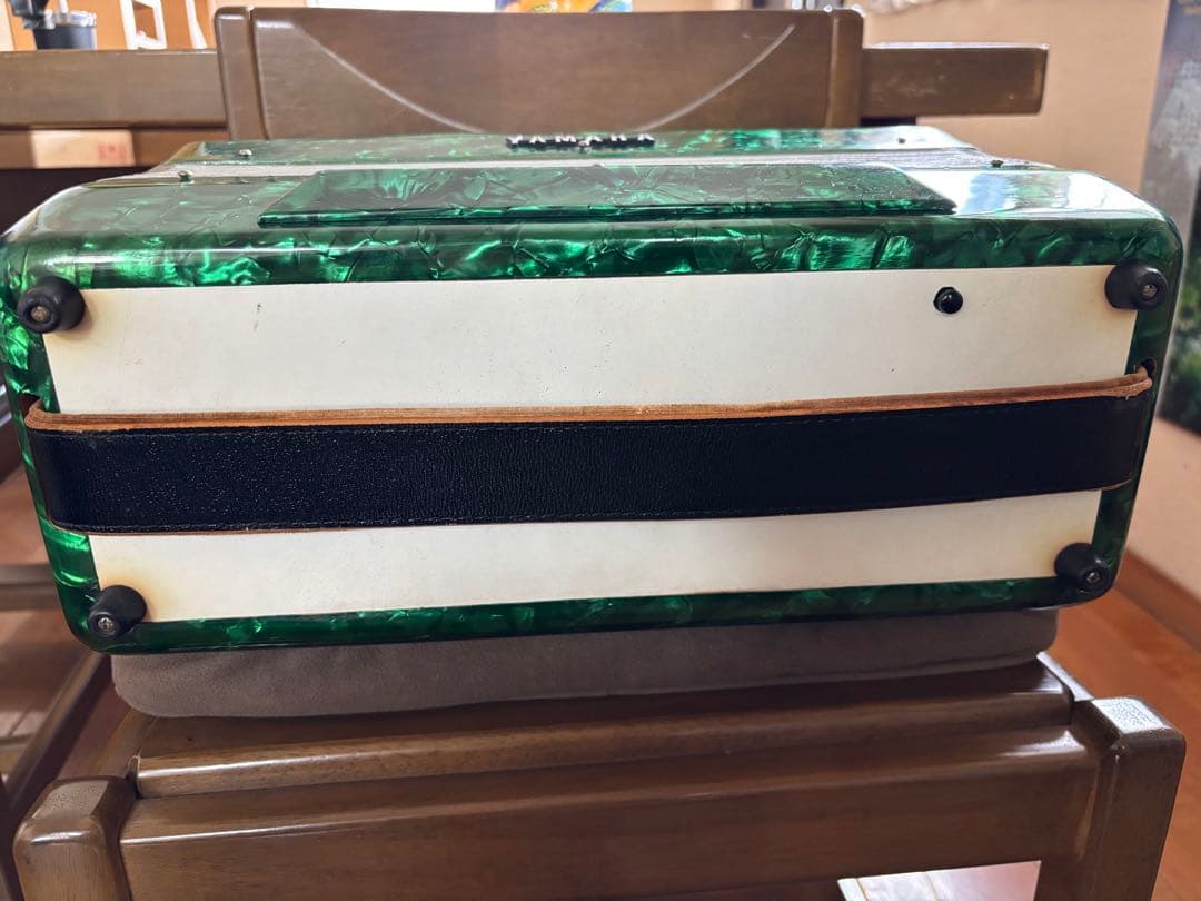 ALTO 32 アコーディオン グリーン