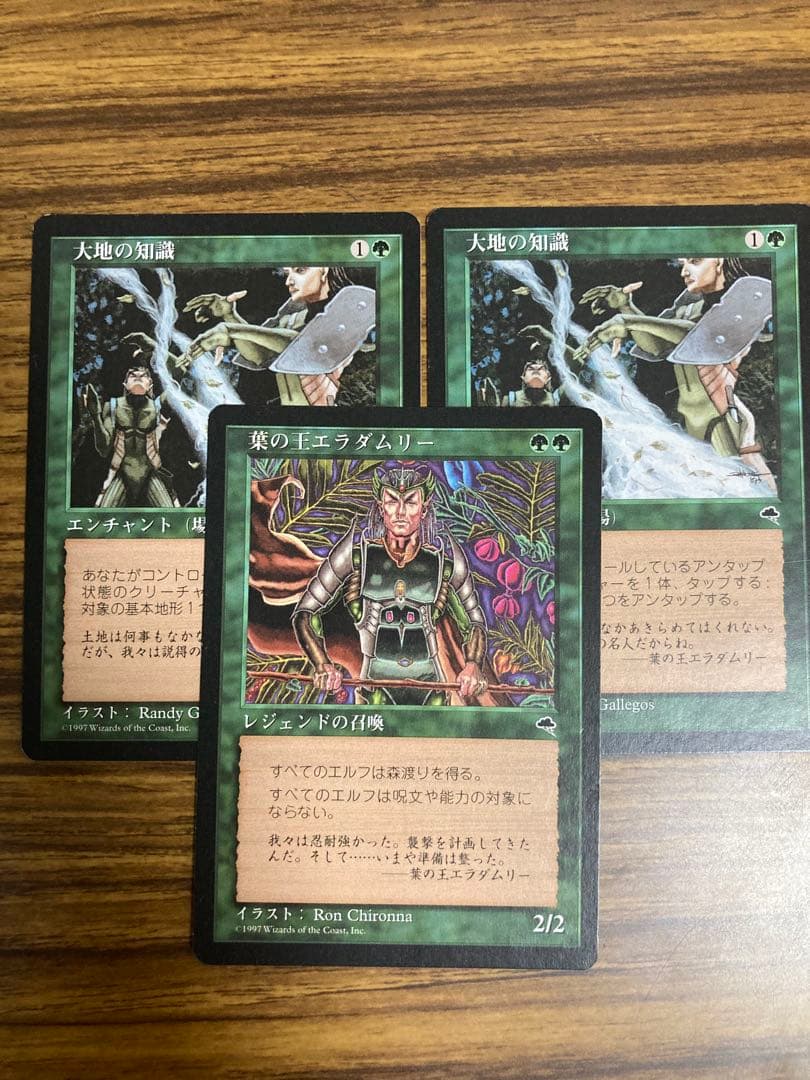 MTG 大地の知識/Earthcraft 日本語　2枚　エラダムリー1枚付