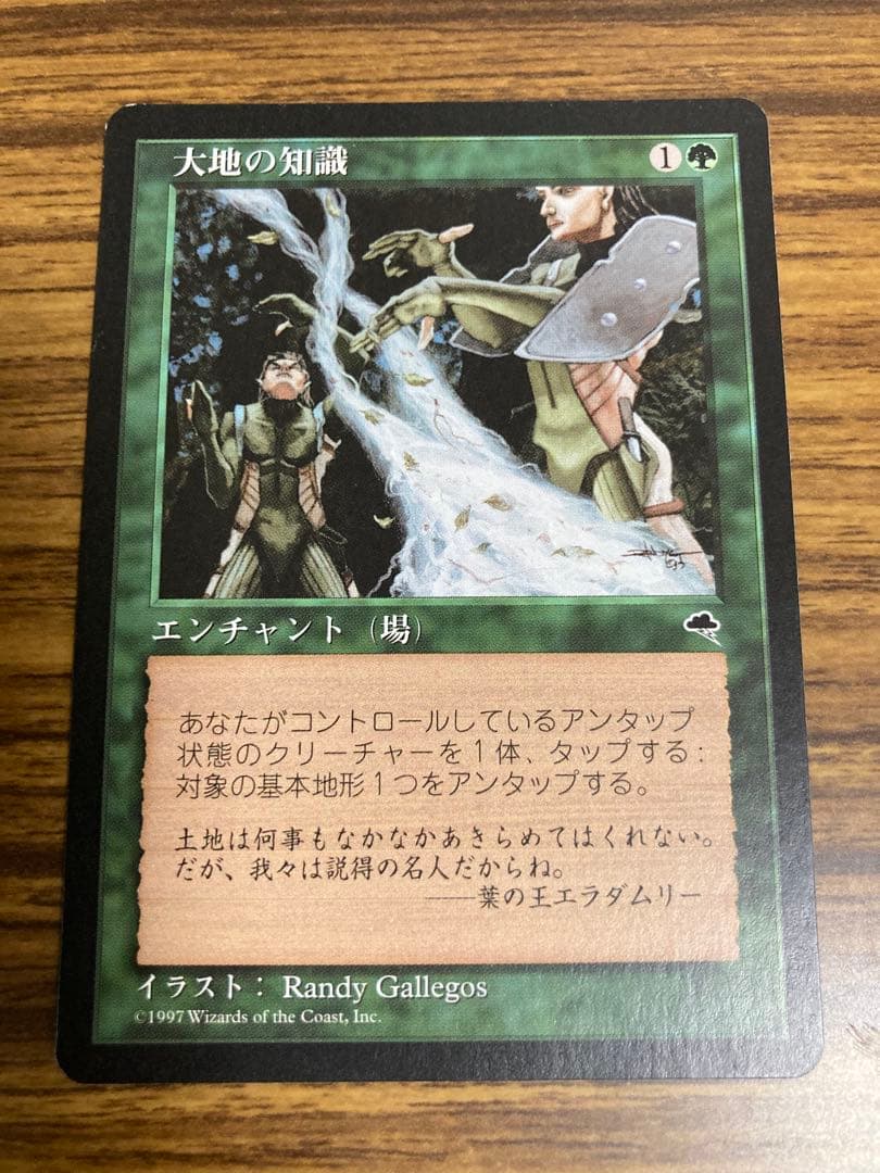 MTG 大地の知識/Earthcraft 日本語　2枚　エラダムリー1枚付