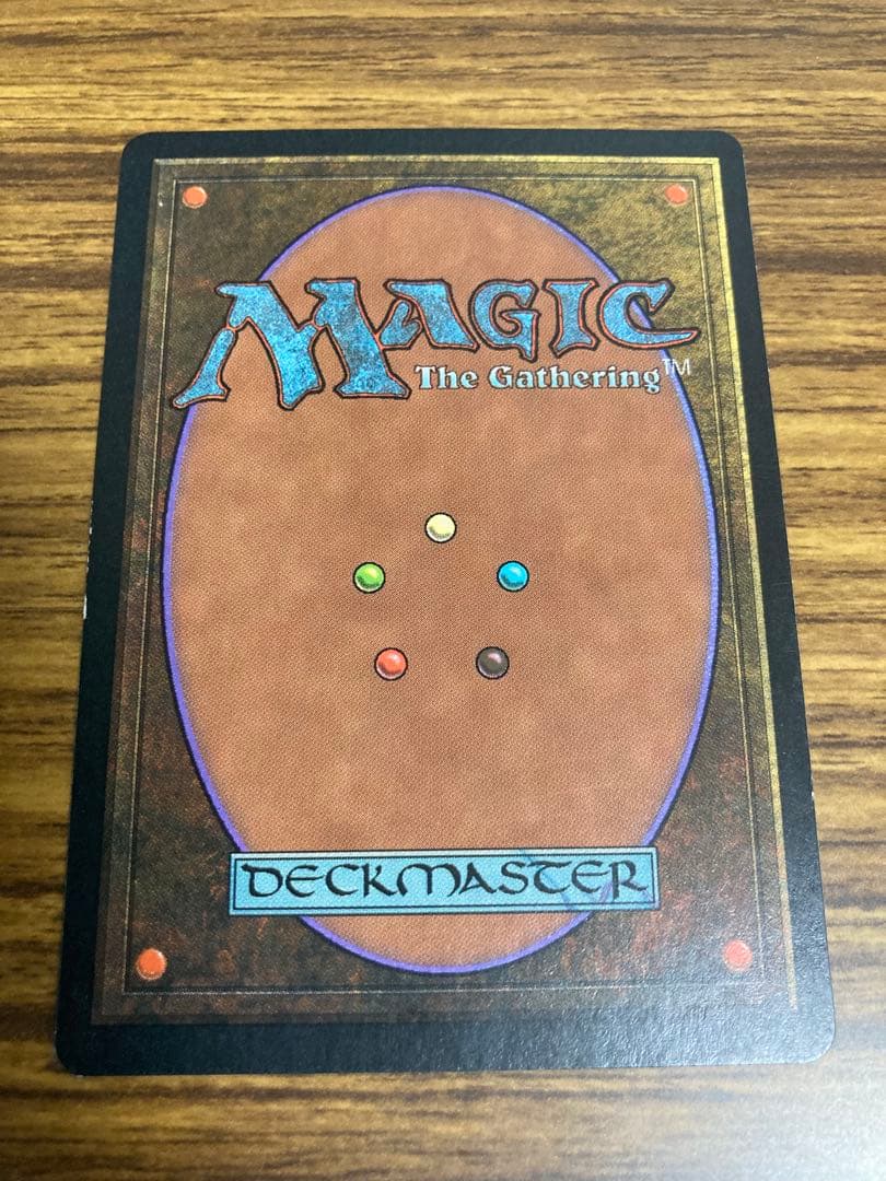 MTG 大地の知識/Earthcraft 日本語　2枚　エラダムリー1枚付