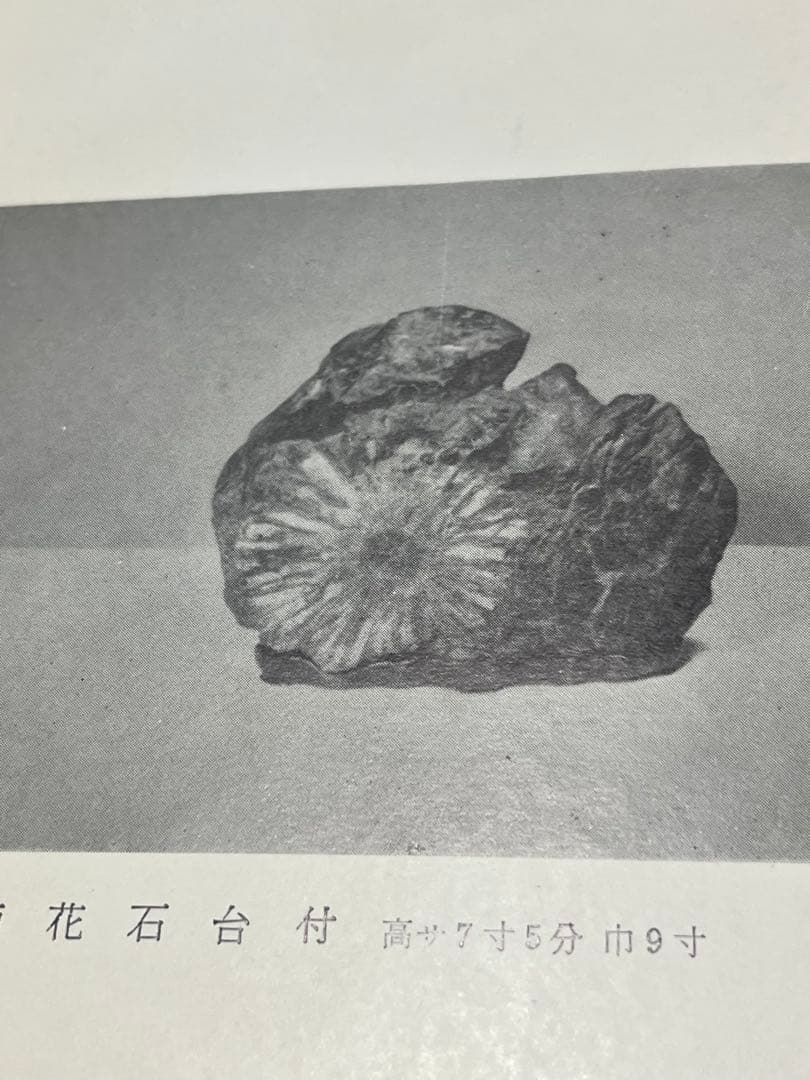 記念帖　盆栽　盆栽鉢　水石