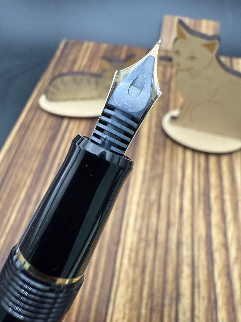 Pilot 万年筆 CUSTOM 74 14K F 2017