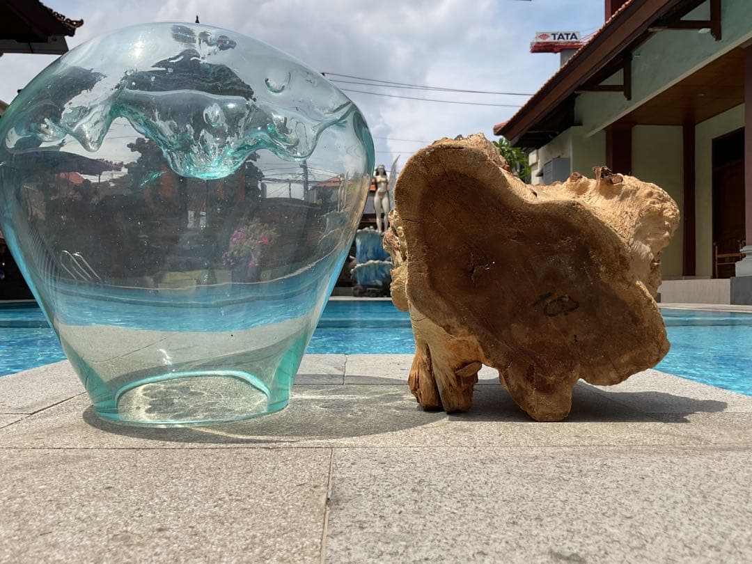 【新入荷】フィッシュボール(流木ガラス水槽)L size