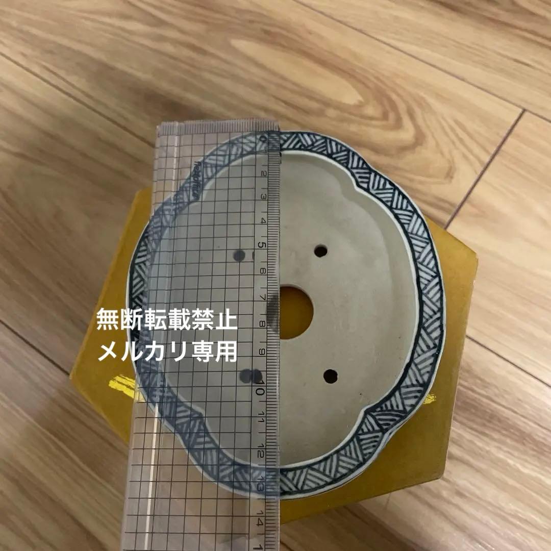 ミニ盆栽鉢　桑津香石　絵鉢　山野草　小品盆栽