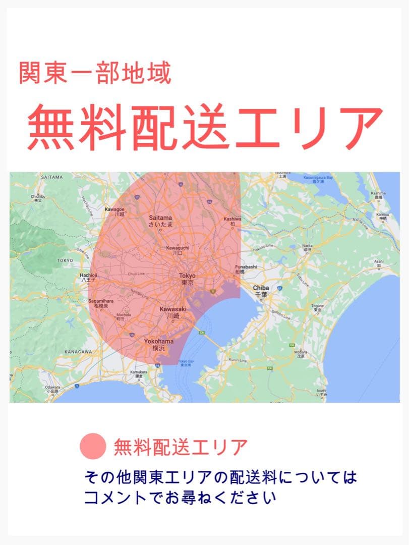 王様ギュットアニーズ⭐️16AHパナソニック子供乗せ電動アシスト自転車Y3131