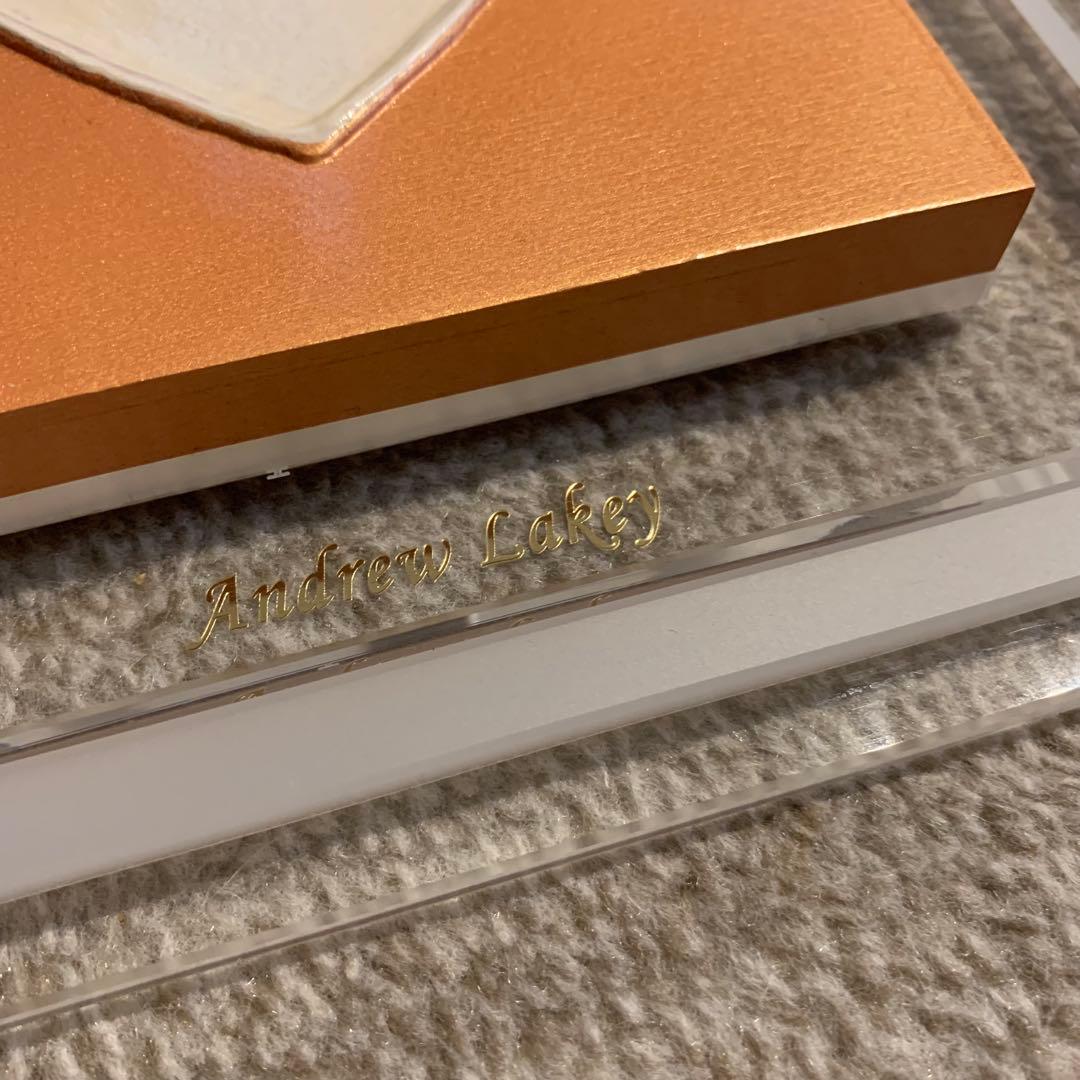 andy lakey love heart アクリル画