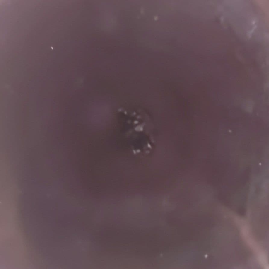 ウ273 香合『中村翠嵐』『紫交趾　唐草　香合　共箱』茶道具