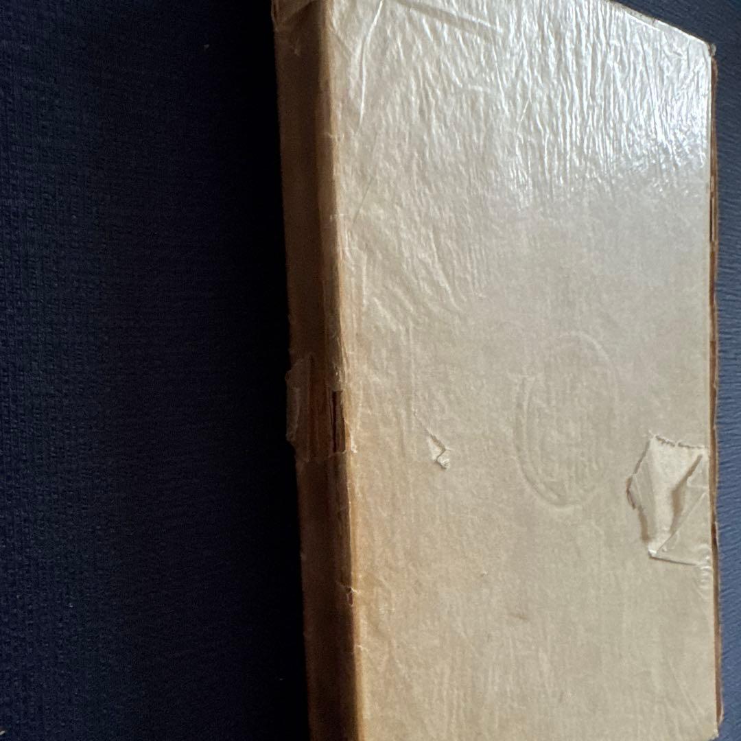 吾輩ハ猫デアル 中編 八版 夏目漱石