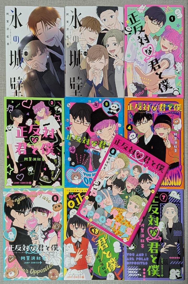 【22冊】 氷の城壁 正反対な君と僕