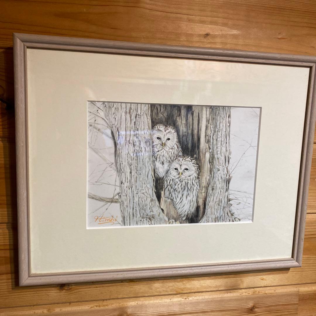 フクロウ(カップル)色鉛筆画