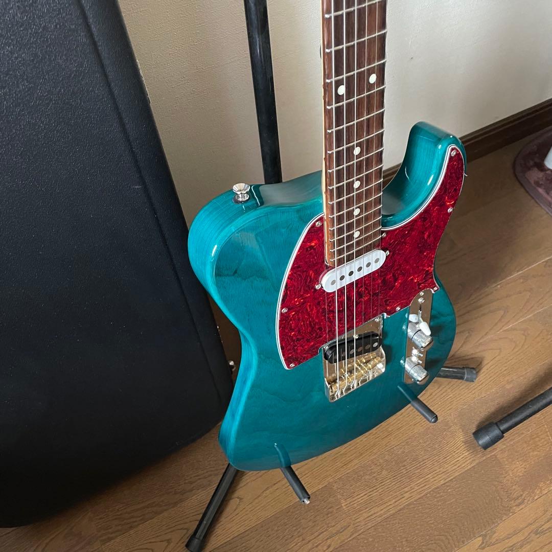 truth テレキャスタータイプ TTL-201 オーダー仕様 トゥルース 美品