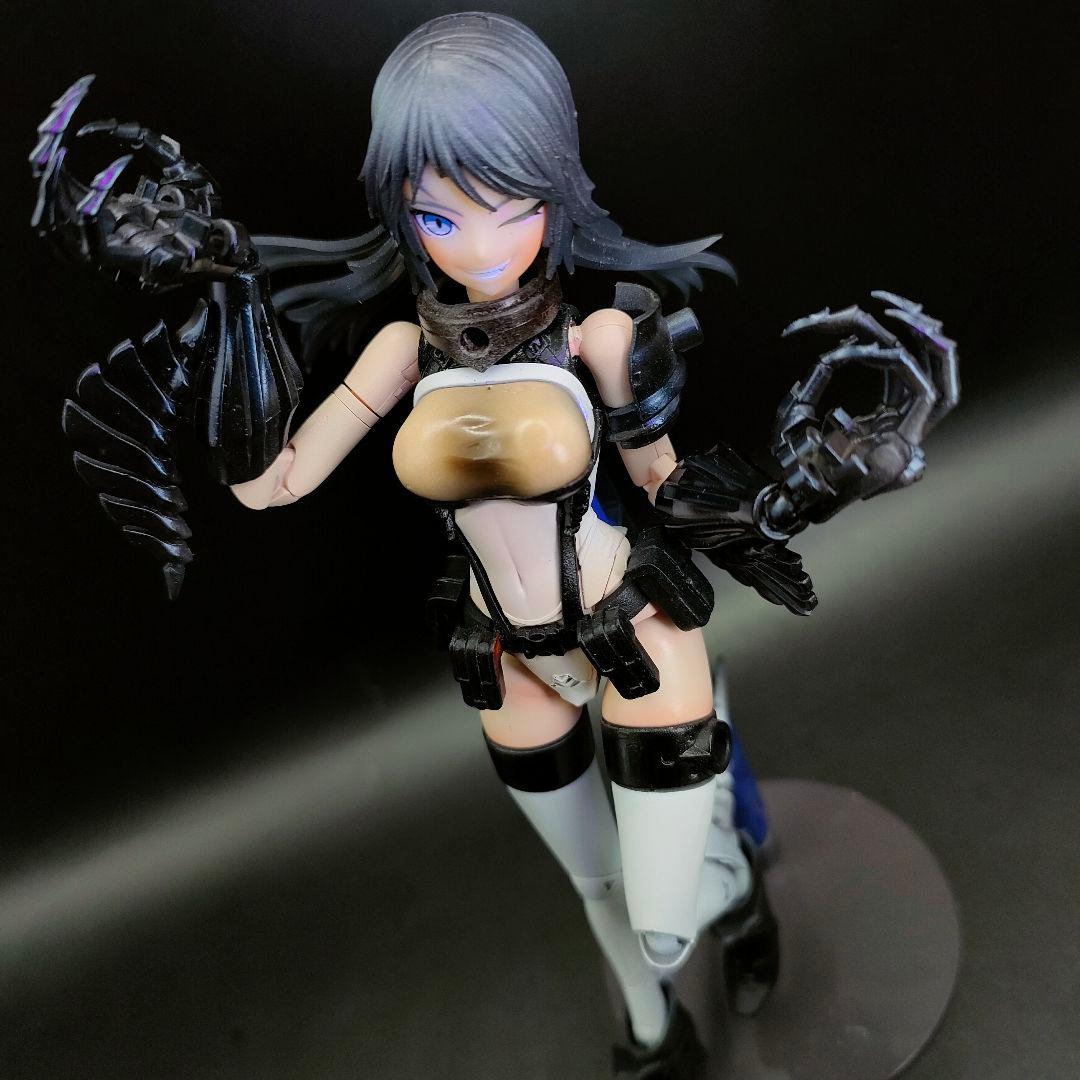 ブロッカーズ フィオーレ　ドラセナ＆ネビュラ　美少女プラモデル　【全塗装完成品】