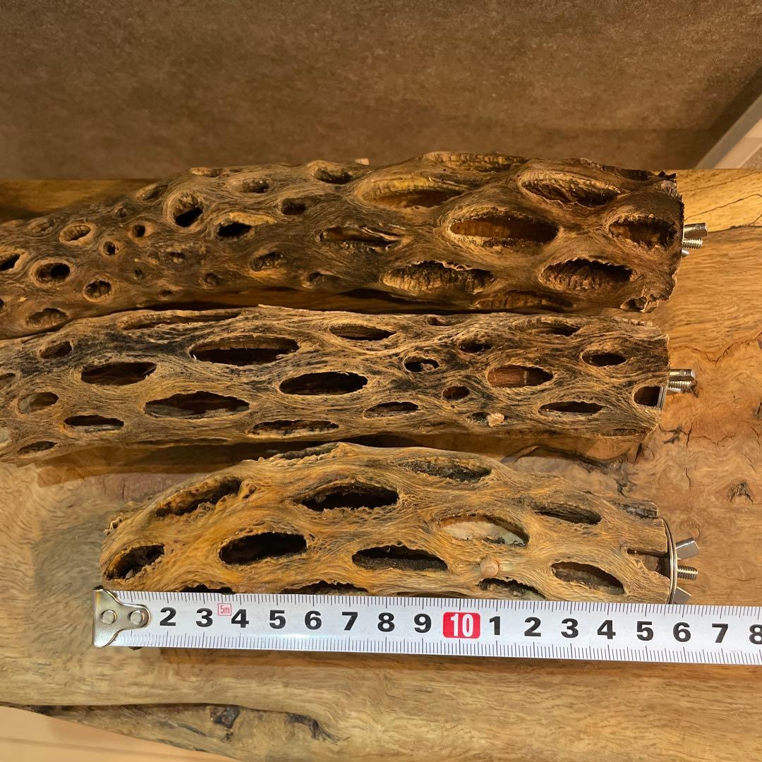 【まるさん専用】オーダーメイドカクタスパーチ相談ページ