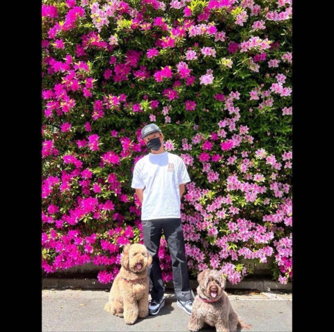 キムタク私物HTC×ディッキーズ874 HTC Dickies Pants 34