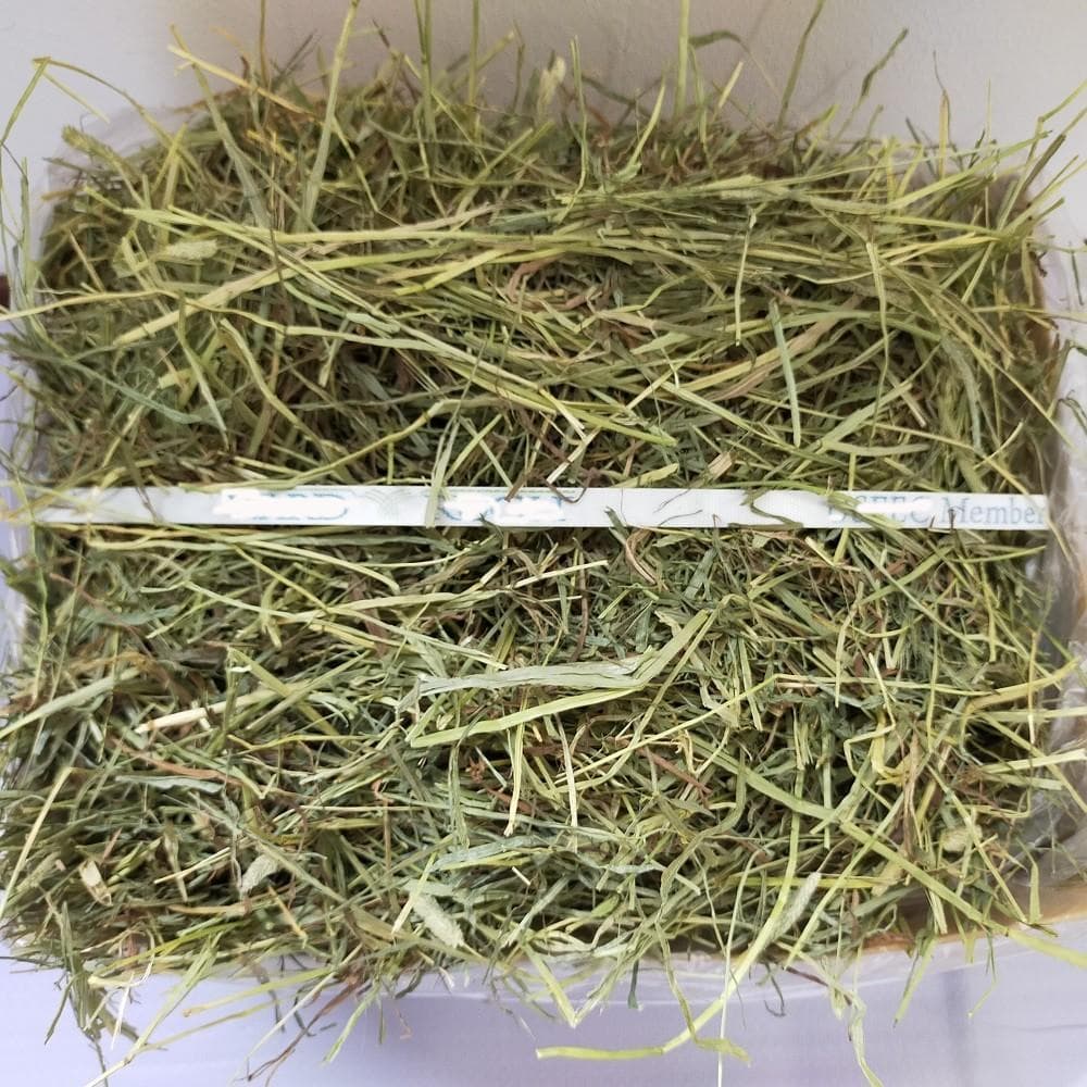 【処分価格】US産 チモシー 50kg ２番刈 ソフトSプレミアム