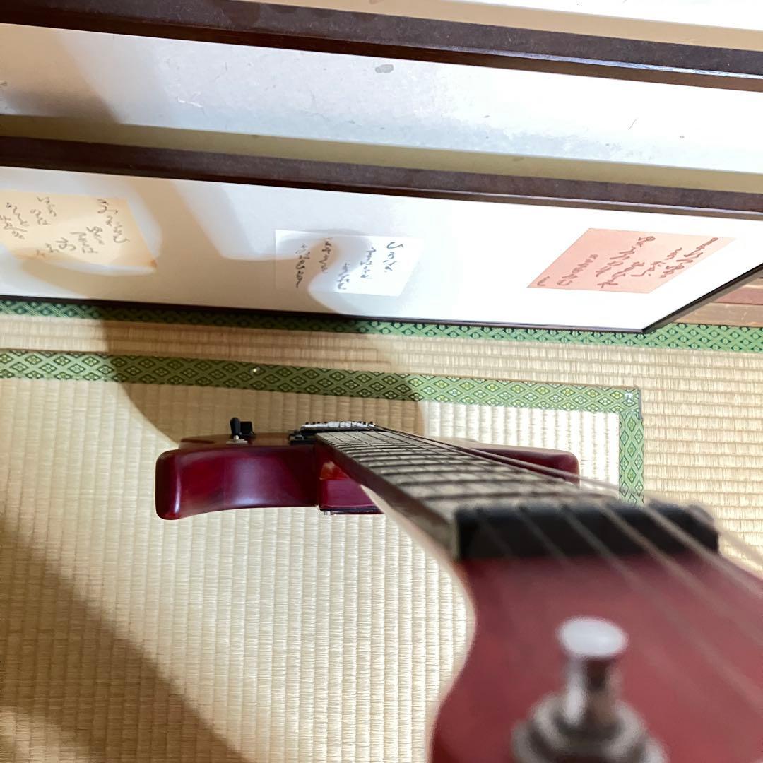 Washburn N1 Nunoモデル