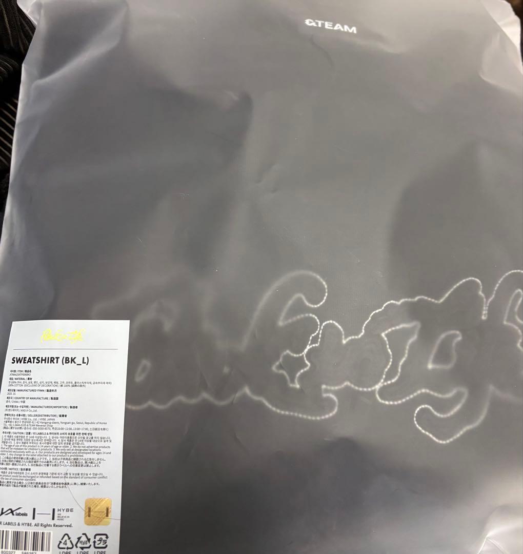 &TEAM Backto Life スウェット Lトレ 力付き