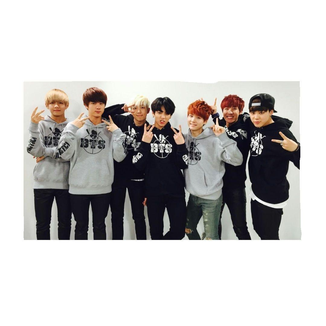 新品未開封 SANTASTIC! 防弾少年団 パーカー Lサイズ 激レア BTS