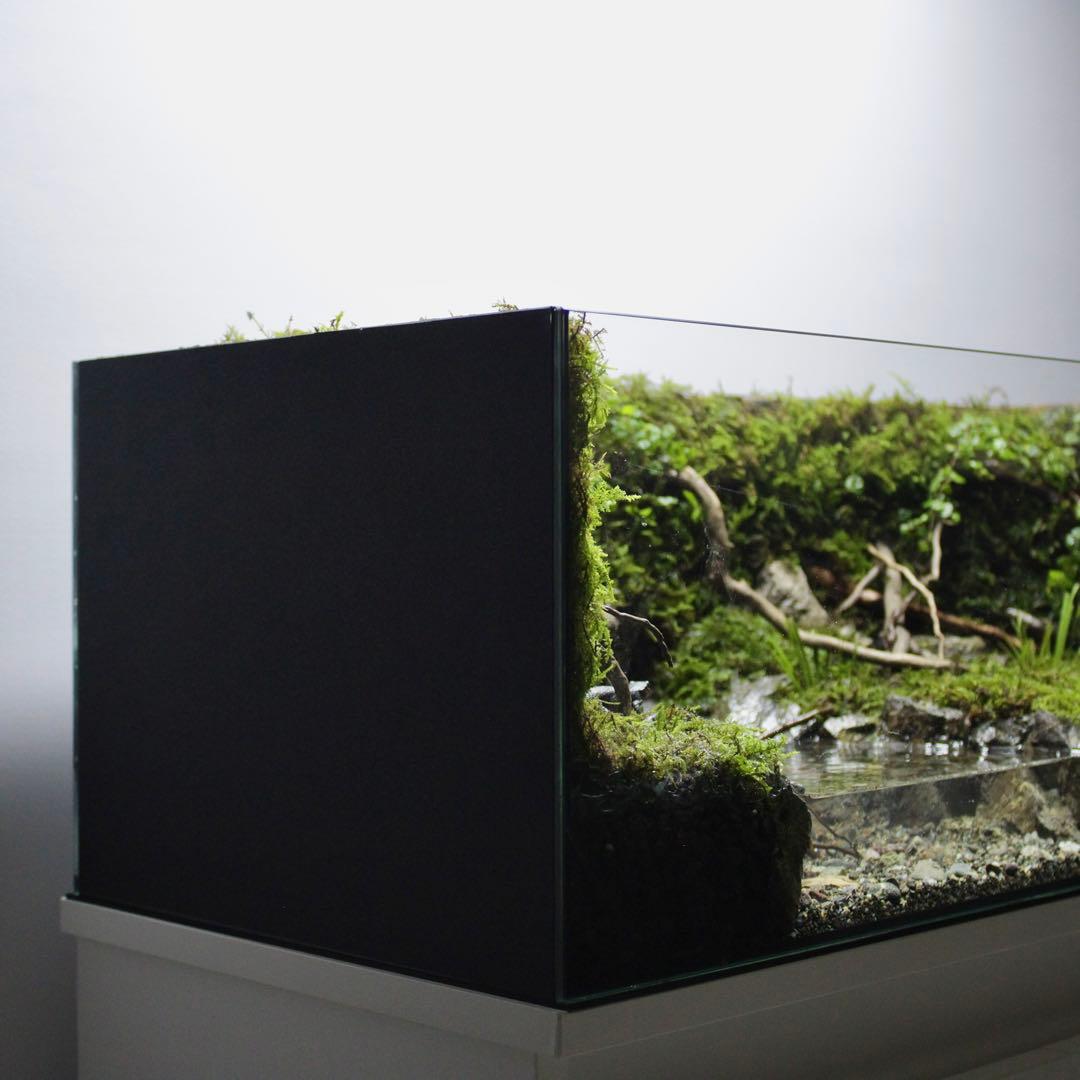 夕方　オーダー作品　アクアテラリウム　イモリウム