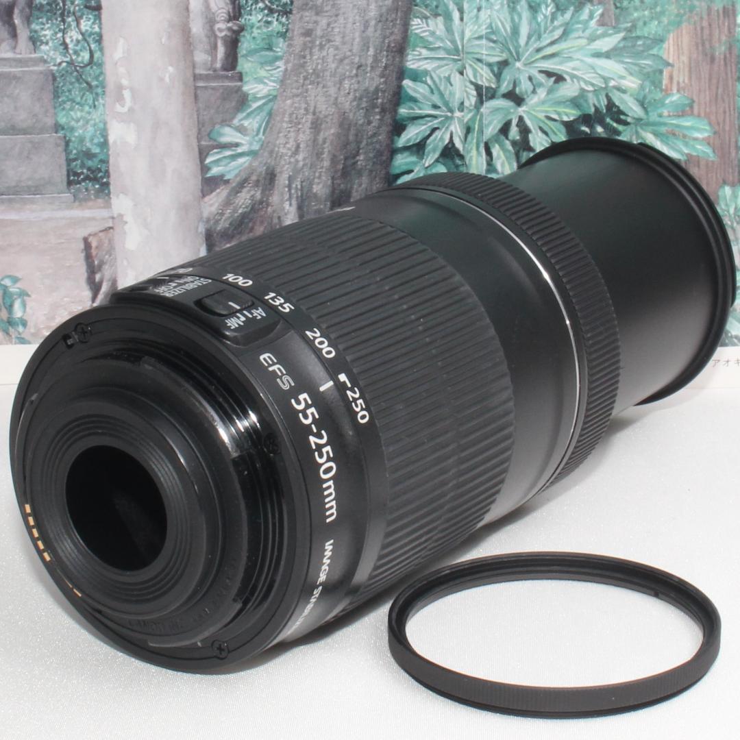 ☆高性能望遠レンズ☆EF-S 55-250 mm STM☆
