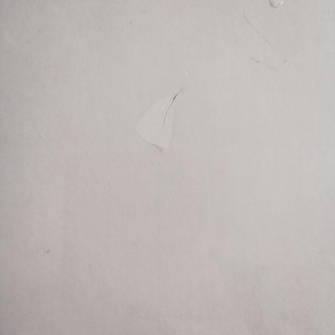 アポロ社 うめ吉 UMEKICHI あじさい坂 1000 ピース 新品 中島潔