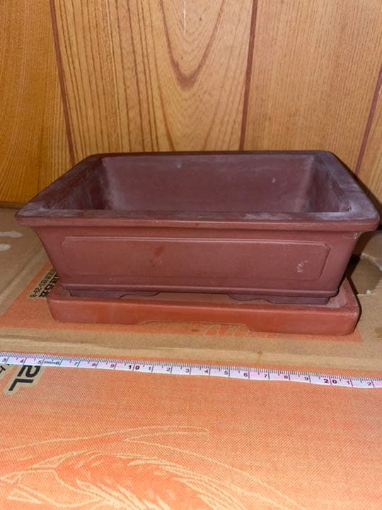 最終価格　中国　中国宜興　植木鉢　盆栽