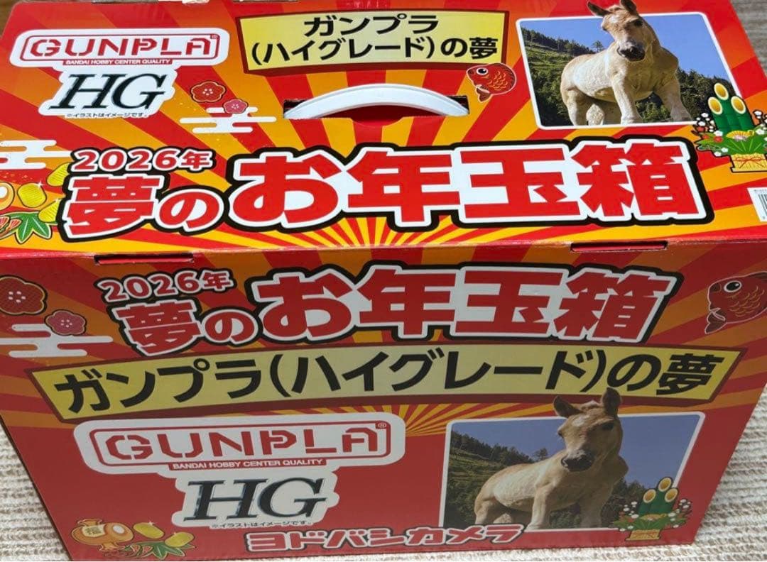 夢のお年玉箱　ガンプラHGの夢　ヨドバシ