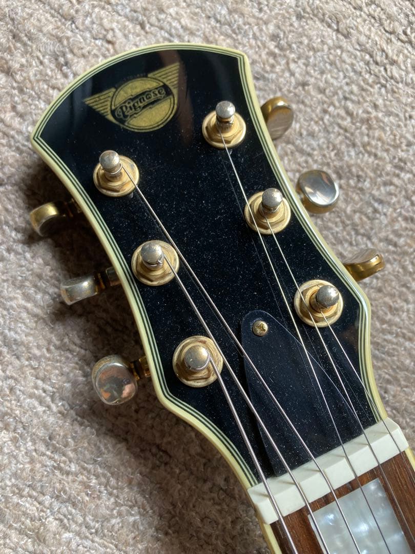 Pignose ブラック×ゴールド エレキギター専用ソフトケース有