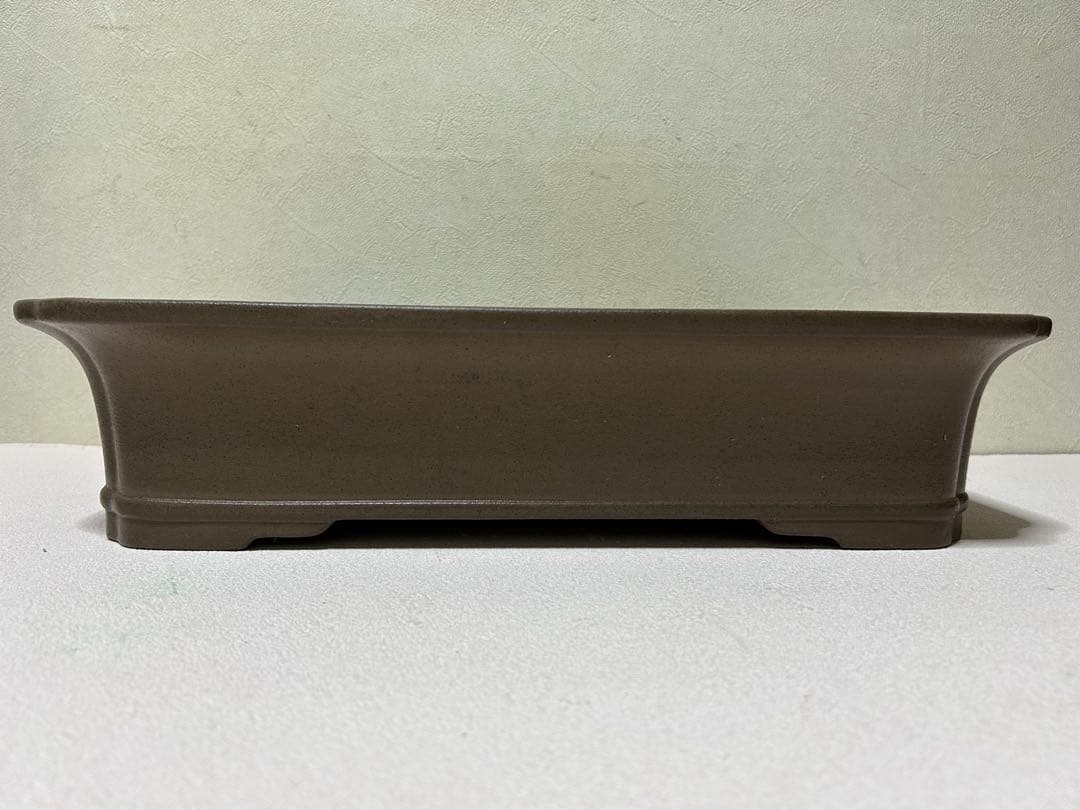 大型　佳山　盆栽鉢