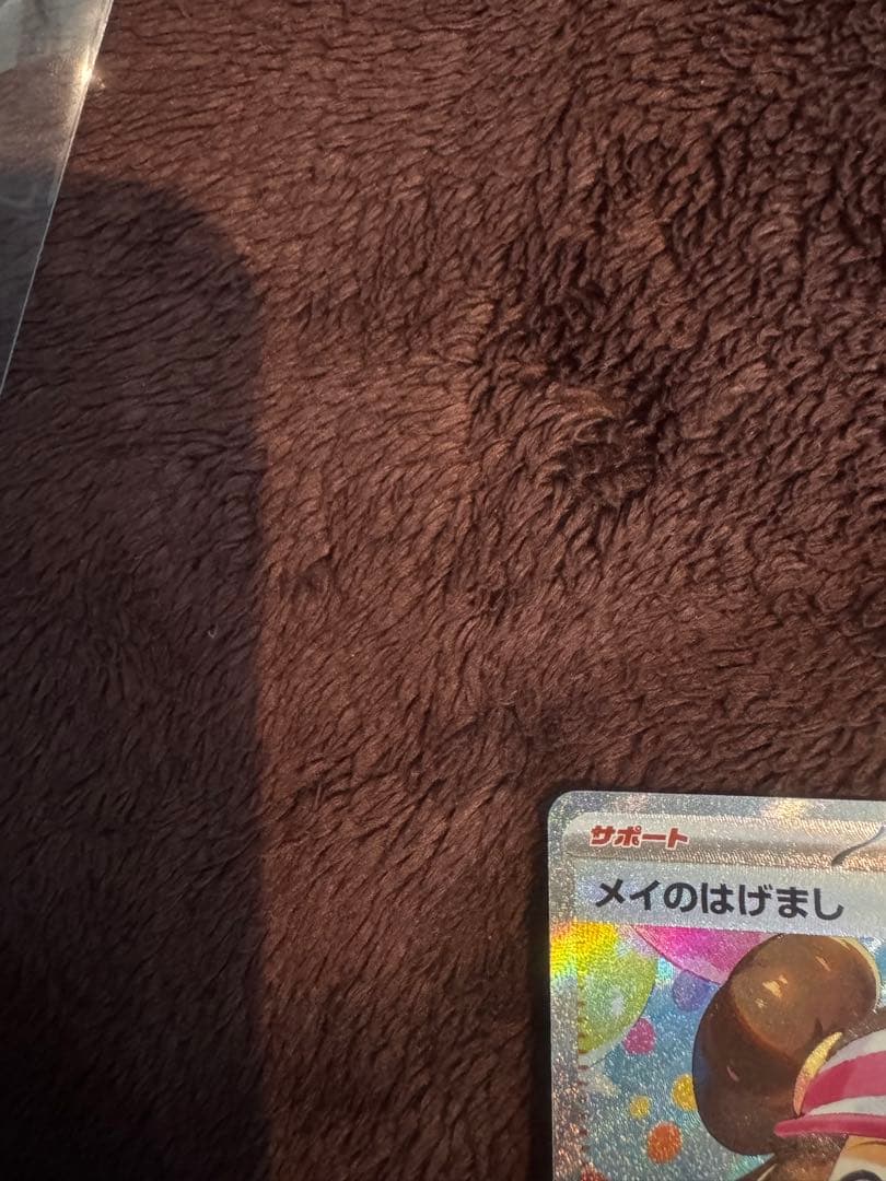 メイのはげまし トレーナーズ SAR