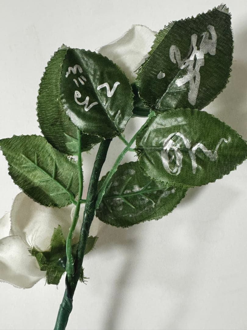 Versailles ローズライト メンバー5人サイン入り