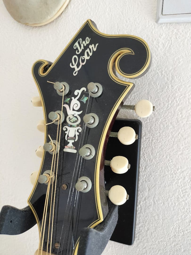 The Loar フラットマンドリン