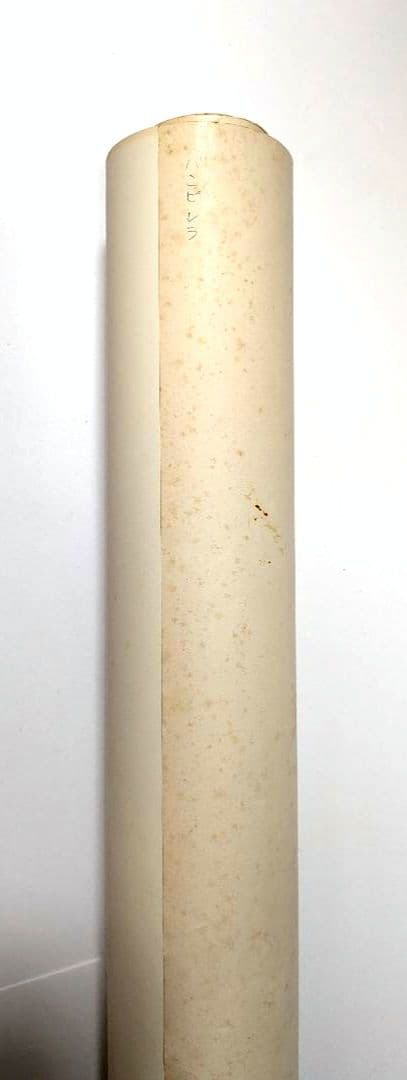 アメコミ VAMPIRELLA 1972年 米国製 等身大ポスター 中古品