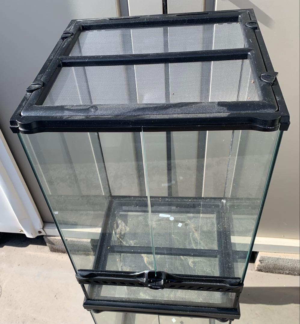 グラステラリウム　3045 エキゾテラ　未使用品