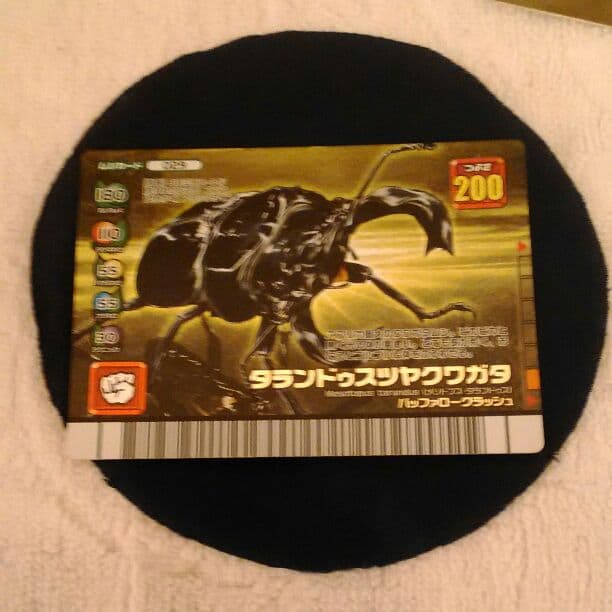 タランドゥスツヤクワガタ(029)