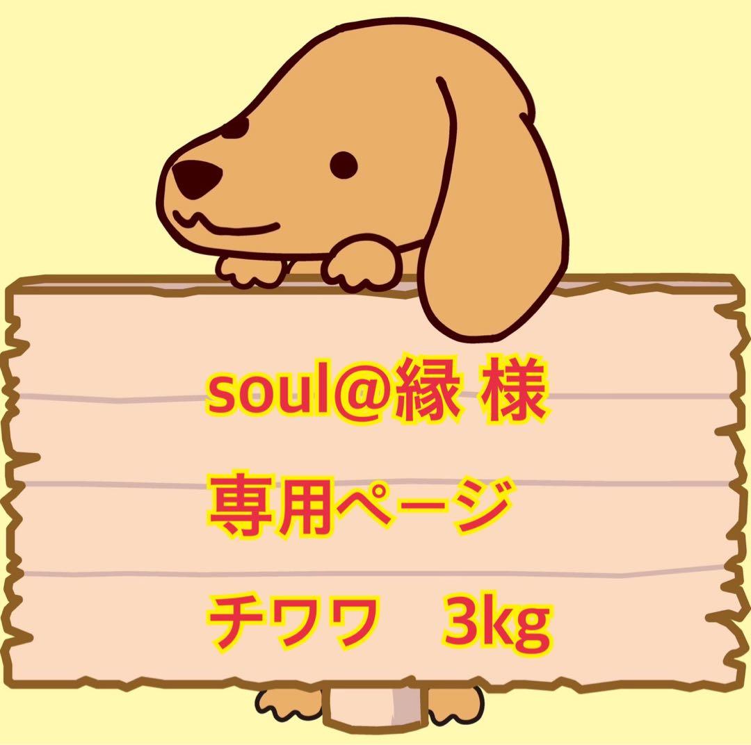 小型犬4輪歩行器　犬用車椅子　介護用　顎のせ枕付き　手押し棒