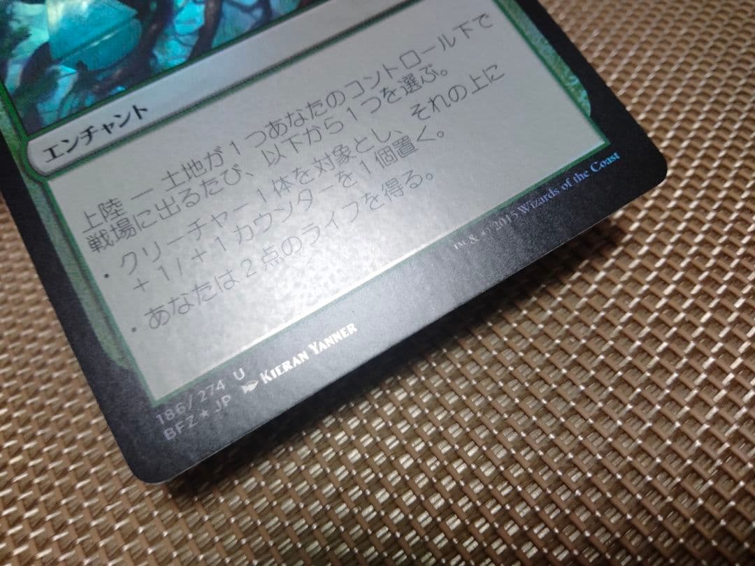 ご確認用】戦乱のゼンディカー foil カザンドゥへの撤退 日本語 1枚　MTG