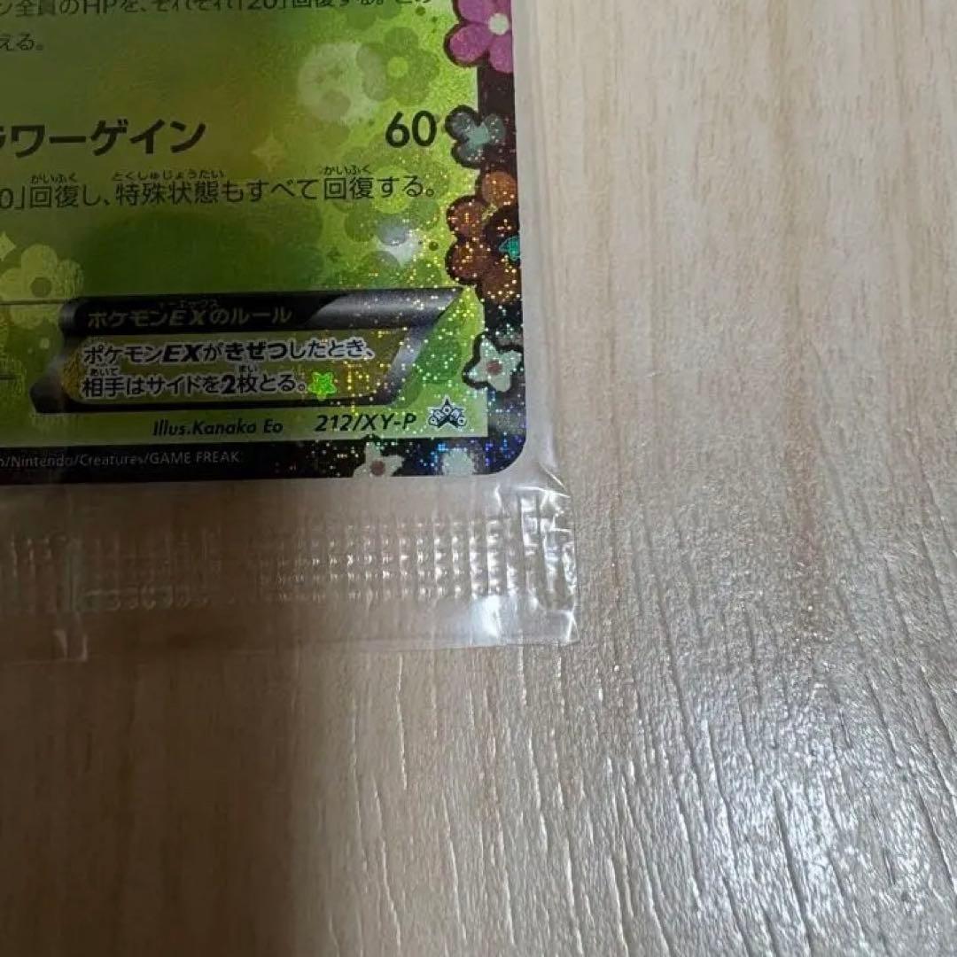 【満額査定品】ポケモンカード　シェイミEX　プロモ　ポケキュンコレクション