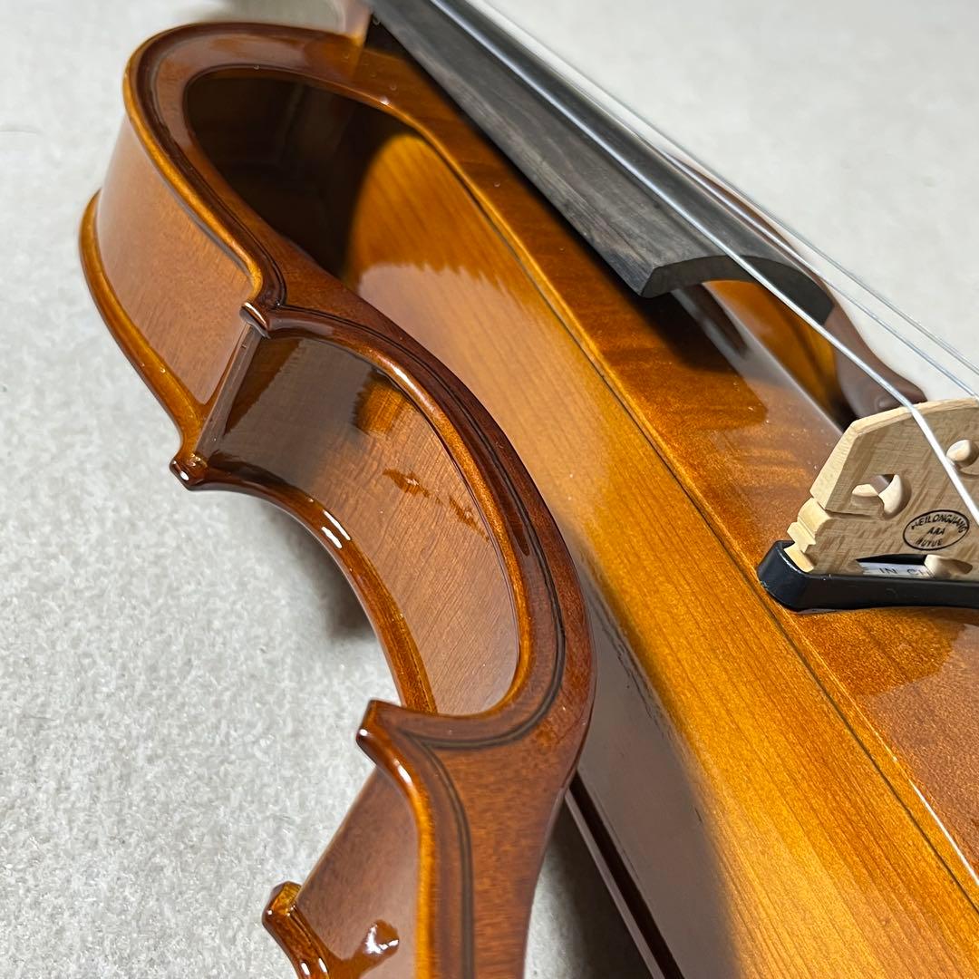 Carlo giordano エレキバイオリン EV-202 カルロジョルダーノ