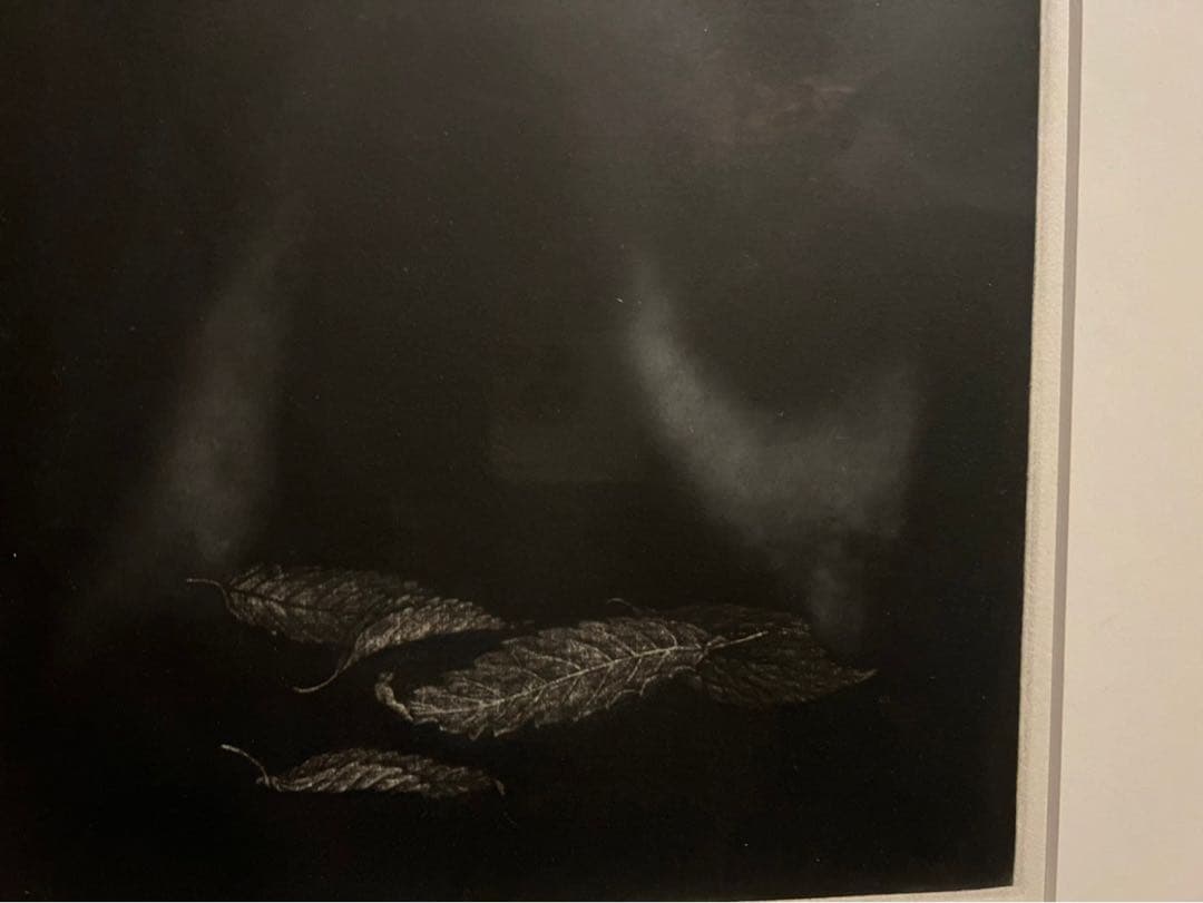 丹阿弥丹波子 リトグラフ NIWAKO TAN-AMI銅版画 直筆サイン 額縁