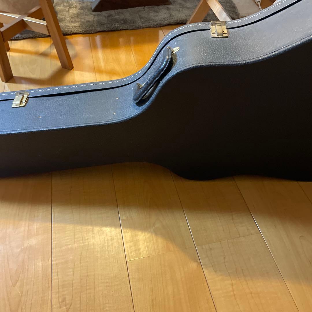 Caf's Eyes アコースティックギター ハードケース付き