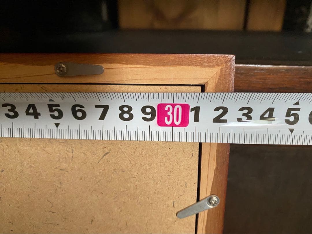 橋本雅邦 雪松 額縁 インテリア 掛け軸