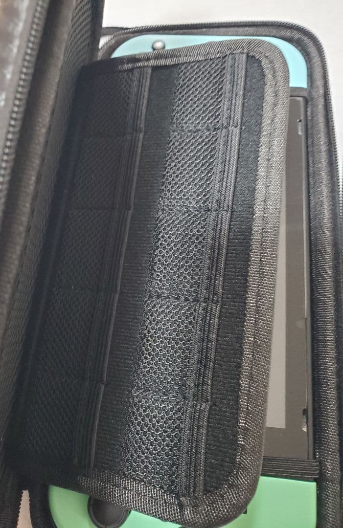 あつまれ どうぶつの森セット Nintendo Switch　ケース付き