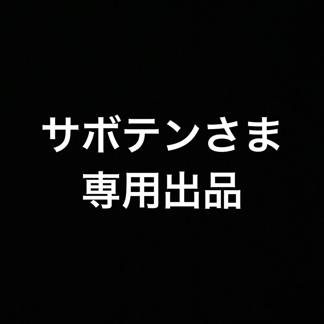 サボテンさま専用