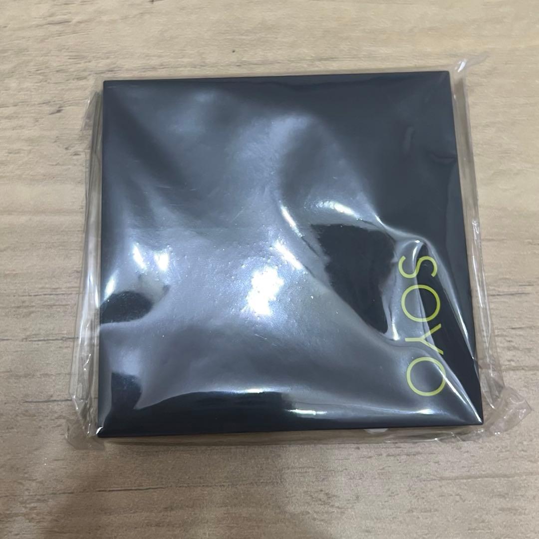 SOYO ブラシ 14本セット