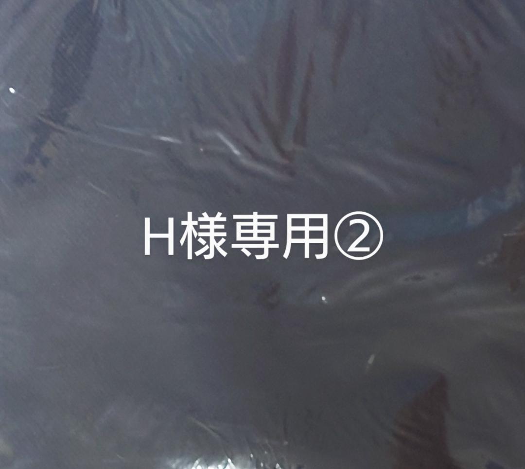 H　抱き枕カバーセット②