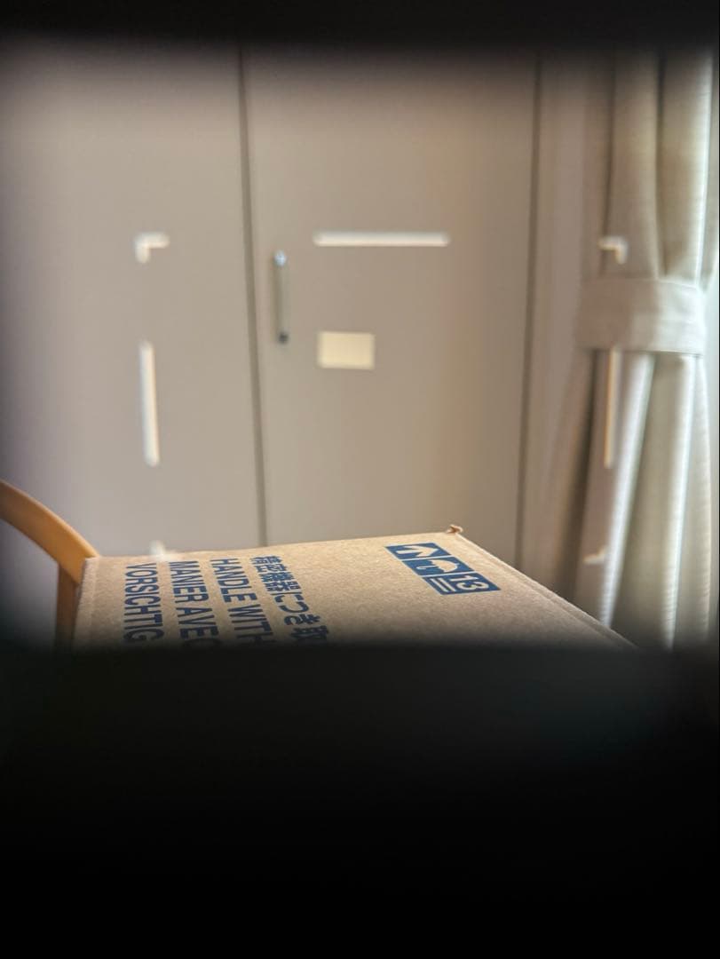 【ワンオーナー品】エプソン R-D1S 動作快調 美品