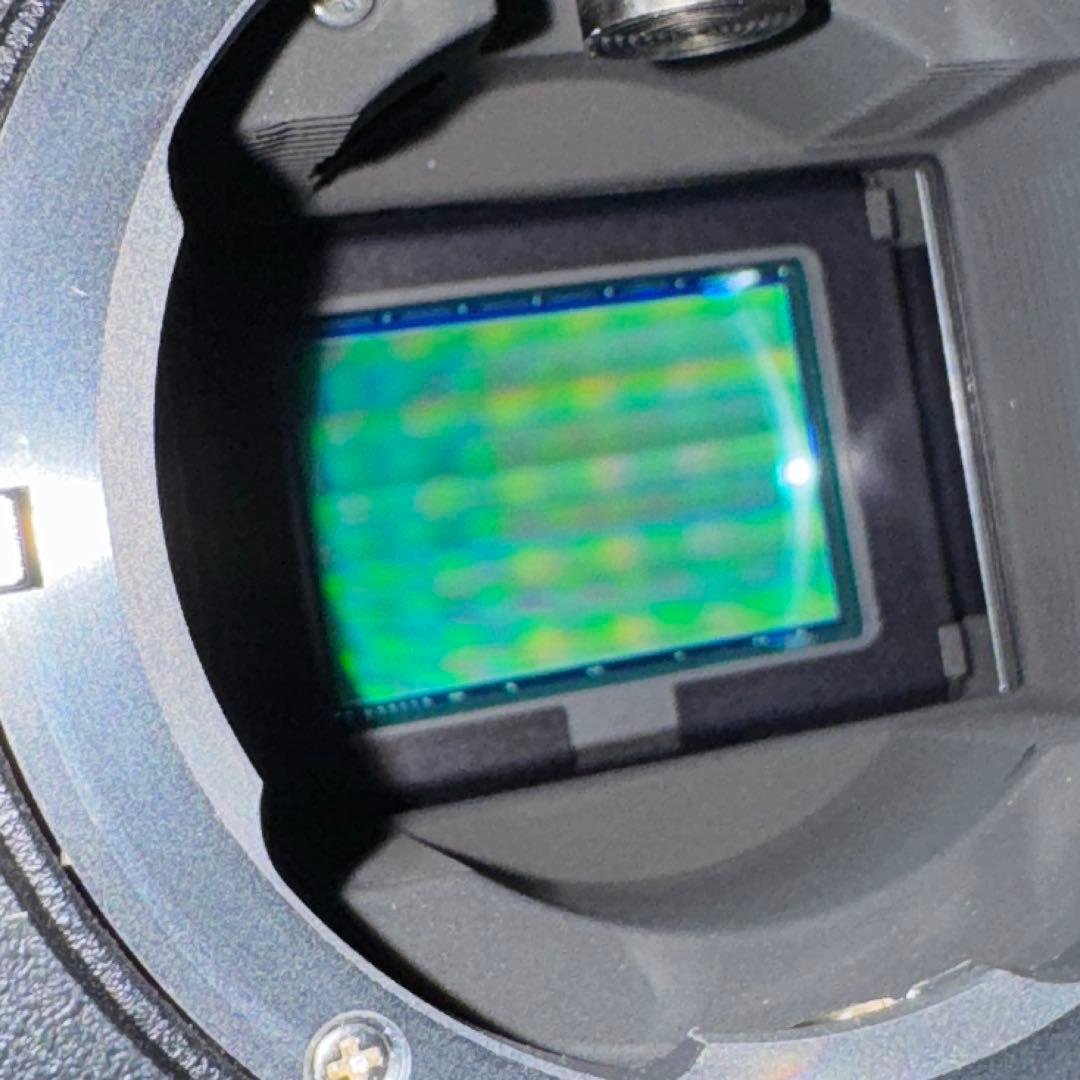 【ワンオーナー品】エプソン R-D1S 動作快調 美品