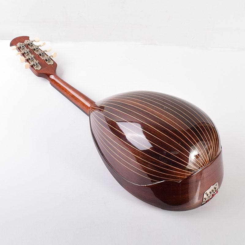 Rio　スズキ　マンドリン　鼈甲製ピック・ハードケース付　V　R7789C