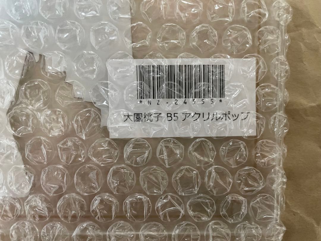 乃木坂46 大園桃子 メモリアルグッズセット